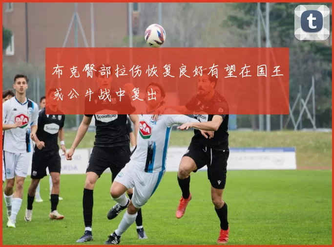 布克臀部拉伤恢复良好有望在国王或公牛战中复出